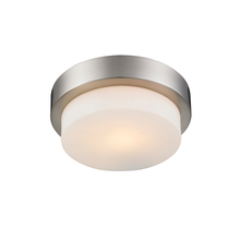  1270-09 PW - Multi-Family Flush Mount in Pewter with Opal Glass